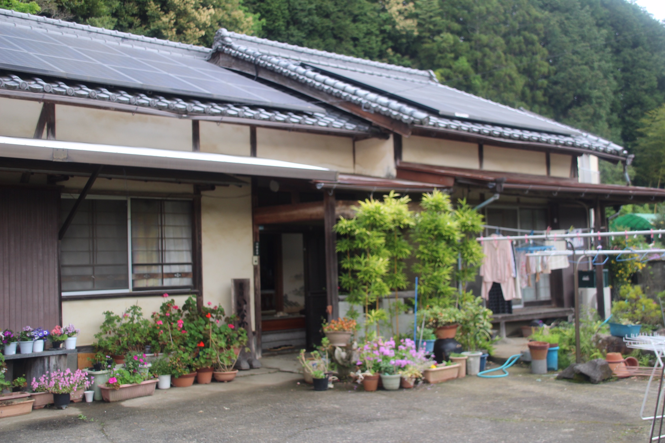 Homestay In Usuki Japan De Toekomst Van Duurzaam Reizen   Edc611b9 5bf7 4184 B9ca Df2cd9cdb1bd 